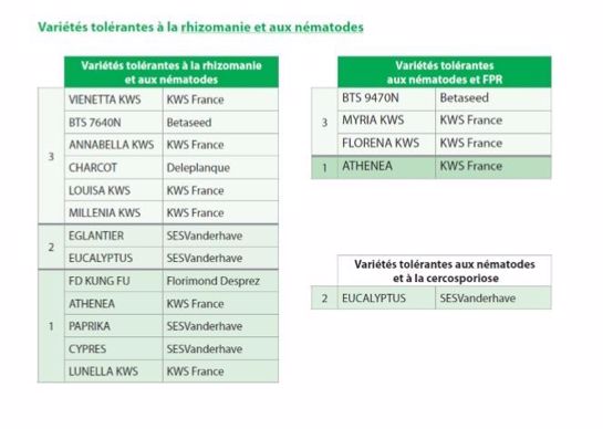 Variétés tolérantes à la rhizomanie et aux nématodes