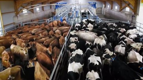La ferme expérimentale du Morbihan pour tester le futur de l'élevage La ferme expérimentale du Morbihan pour tester le futur de l'élevage