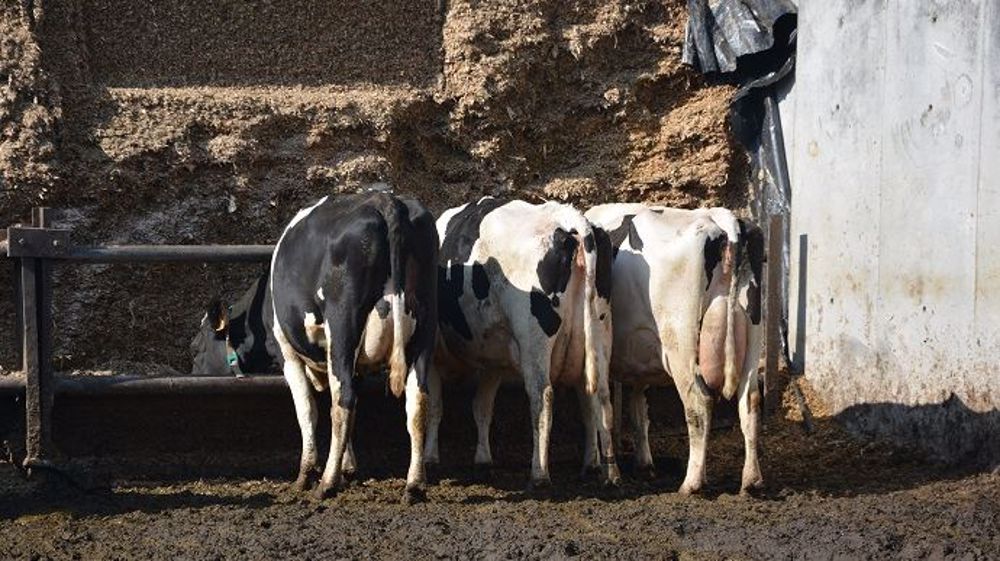 Oui, les silos libre-service existent encore et ce système fonctionne ! (©Terre-net Média)