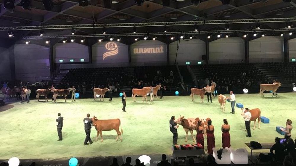 Swiss expo se déroulera du 9 au 12 janvier 2019 à Beaulieu, Lausanne (Suisse) (©Swiss expo)