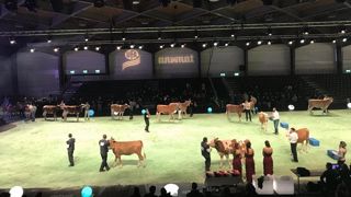 Swiss expo se déroulera du 9 au 12 janvier 2019 à Beaulieu, Lausanne (Suisse) (©Swiss expo) Swiss expo se déroulera du 9 au 12 janvier 2019 à Beaulieu, Lausanne (Suisse) (©Swiss expo)
