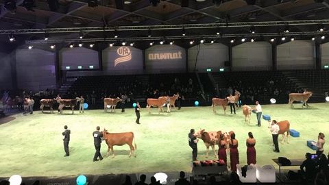 Swiss expo se déroulera du 9 au 12 janvier 2019 à Beaulieu, Lausanne (Suisse) (©Swiss expo) Swiss expo se déroulera du 9 au 12 janvier 2019 à Beaulieu, Lausanne (Suisse) (©Swiss expo)