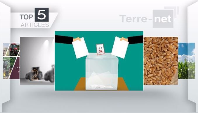 Les articles les plus lus de Terre-net cette semaine.