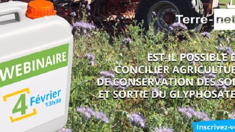 Est-il possible de concilier agriculture de conservation des sols et sortie du glyphosate ? (©Montage Terre-net Média avec la <a href="https://sites.google.com/view/franceagritwittos/banque-dimages" title="Banque d'images Franceagritwittos" target="_blank">banque d’images Franceagritwittos</a>.)