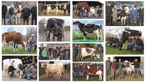 L'élection des meilleures vaches laitières Évolution vise à mettre en avant des animaux inconnus des concours et publications. Néanmoins, ce sont des animaux rentables qui font la réussite et la fierté de leurs éleveurs. (©Evolution XY) L'élection des meilleures vaches laitières Évolution vise à mettre en avant des animaux inconnus des concours et publications. Néanmoins, ce sont des animaux rentables qui font la réussite et la fierté de leurs éleveurs. (©Evolution XY)
