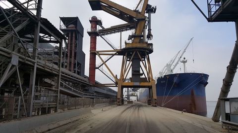 Selon AgriDées, l'ensemble des acteurs de la chaîne d'exportation des céréales françaises doivent travailler conjointement pour proposer une offre plus claire et étoffée de grains aux clients. (©Terre-net Média)