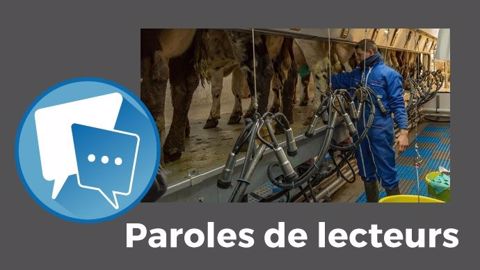 « Physiquement, il y a besoin de main-d'œuvre mais économiquement... », constate Jonathan. (©Terre-net Média) « Physiquement, il y a besoin de main-d'œuvre mais économiquement... », constate Jonathan. (©Terre-net Média)