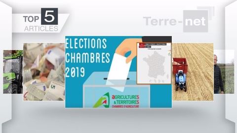 Les articles les plus lus de Terre-net cette semaine. (©Terre-net Média)