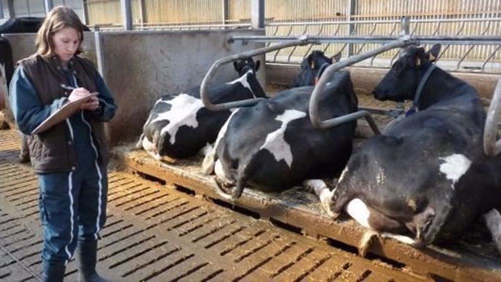 Selon la MSA, les agricultrices ont des revenus moyens inférieurs de 30 % à ceux des hommes. (©Terre-net Média)