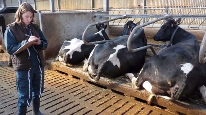 Selon la MSA, les agricultrices ont des revenus moyens inférieurs de 30 % à ceux des hommes.