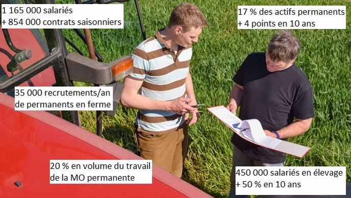 le salariat en agriculture en chiffres