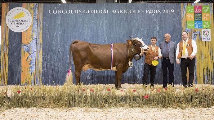 La championne jeune de la race abondance : Joyeuse