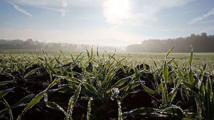 Paysage hivernal