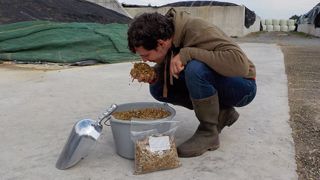 Vérifier l'état de conservation du maïs ensilage c'est : mesurer la température, sentir le fourrage, vérifier la présence de moisissures et éventuellement faire une analyse en labo. (©Arvalis-Institut du végétal) Vérifier l'état de conservation du maïs ensilage c'est : mesurer la température, sentir le fourrage, vérifier la présence de moisissures et éventuellement faire une analyse en labo. (©Arvalis-Institut du végétal)