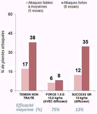 Efficacité sur taupins du Success GR - synthèse d’essais maïs grain et maïs fourrage (2012-2018)