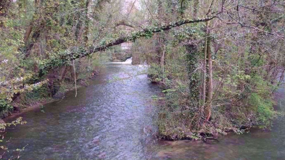UFC-que Choisir demande la « mise en œuvre stricte du principe pollueur-payeur » pour dépolluer les cours d'eau. (©Terre-net Média)