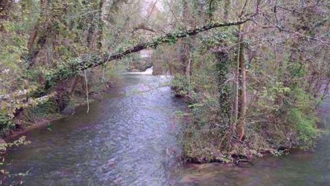 UFC-que Choisir demande la « mise en œuvre stricte du principe pollueur-payeur » pour dépolluer les cours d'eau. (©Terre-net Média)