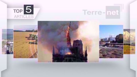 Les articles les plus lus de Terre-net cette semaine. (©Terre-net Média)