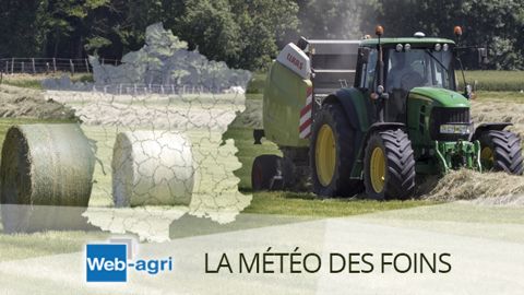 Quand pourrez-vous faucher votre herbe ? Réponse en <a href="http://www.web-agri.fr/meteo-agricole/fenaison" target="_self">consultant la Météo des foins</a>. (©Terre-net Média) Quand pourrez-vous faucher votre herbe ? Réponse en <a href="http://www.web-agri.fr/meteo-agricole/fenaison" target="_self">consultant la Météo des foins</a>. (©Terre-net Média)