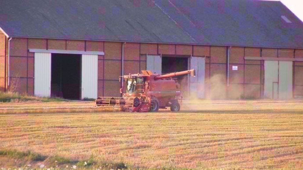  « Le cru 2019 pour le blé russe sera sûrement plus élevé qu’en 2018, en raison de la hausse des surfaces semées et de bonnes conditions climatiques jusqu’à présent », explique Michel Portier, directeur d'Agritel. (©Terre-net Média)