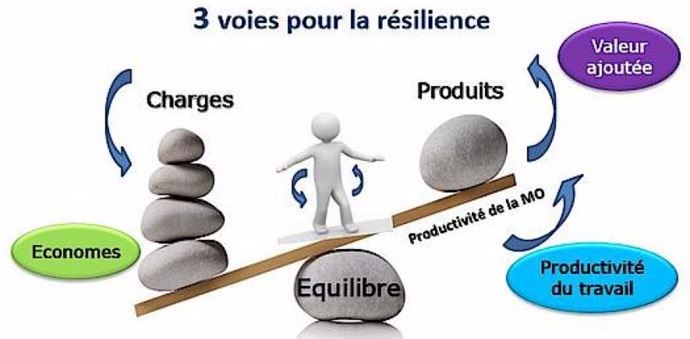 Pour être résilient en bovin viande, 3 modes de pilotage des élevages se distinguent : la maitrise des charges, la productivité du travail et la création de valeur ajoutée.