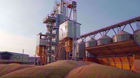 La production de blé russe devrait augmenter de 3,4 millions de tonnes cette année. (©Terre-net Média)