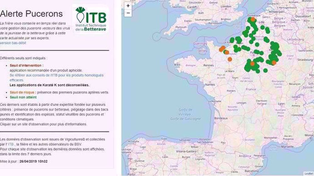 L'outil "Alerte pucerons" indique « l'évolution de la pression liée aux pucerons vecteurs de la jaunisse » à partir des conditions météorologiques et des observations de Vigicultures. (©Institut technique de la betterave)
