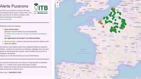 L'outil "Alerte pucerons" indique « l'évolution de la pression liée aux pucerons vecteurs de la jaunisse » à partir des conditions météorologiques et des observations de Vigicultures. (©Institut technique de la betterave)