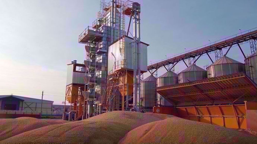 Le ministère américain de l'agriculture, qui livre là ses premières projections, table sur une production mondiale de blé historique en 2019 (777,5 Mt). (©Terre-net Média)
