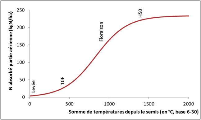 Cinétique d'absorption de l'azote par le maïs