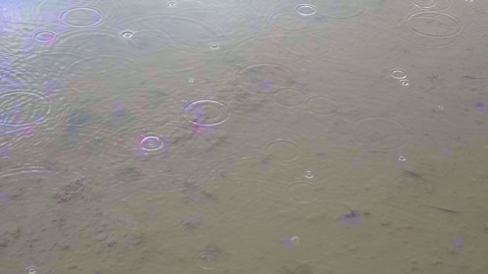 pluie qui tombe