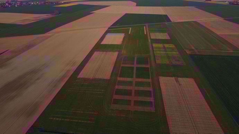 L'événement Outdoor 2019 se déroule sur la plateforme d'essais de sept hectares du groupe coopératif NatUp. (©Natup)