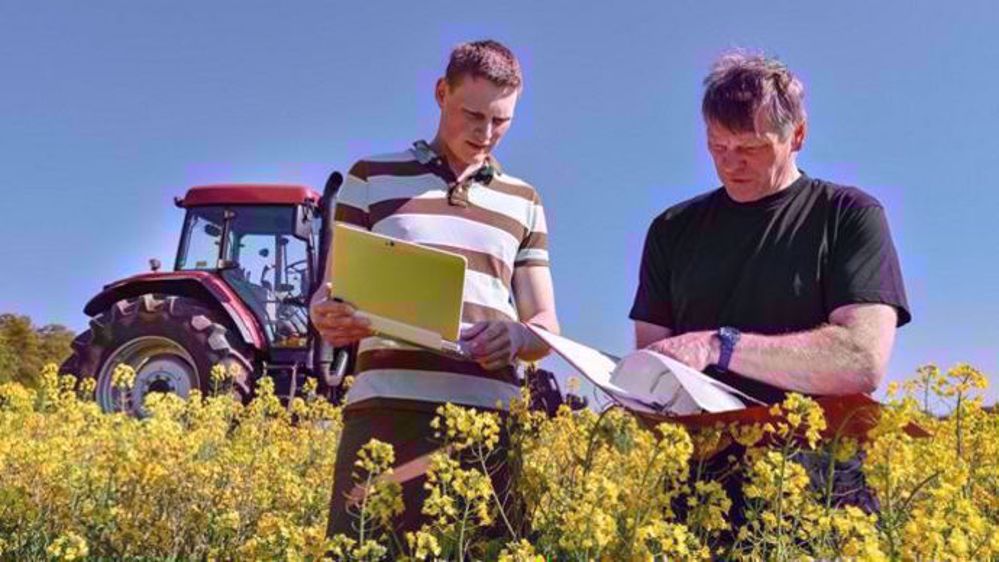 Travailler au service de remplacement permet de mûrir son projet d'installation. (©Countrypixel, Fotolia)