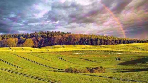 Aux Etats-Unis, face aux averses persistantes, de plus en plus d'agriculteurs envisagent de laisser leurs champs en friche et de profiter du traditionnel programme d'aides compensant en partie l'absence de revenus. (©Mike Mareen/Fotolia)