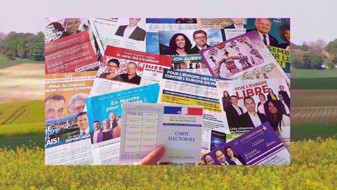 Les députés européens choisis lors des élections européennes 2019 auront un rôle important à jouer pour le prochain budget européen (dont celui de la politique agricole commune) et pour la future réforme de la Pac. (©Terre-net Média) Les députés européens choisis lors des élections européennes 2019 auront un rôle important à jouer pour le prochain budget européen (dont celui de la politique agricole commune) et pour la future réforme de la Pac. (©Terre-net Média)
