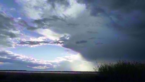 La météo s'éclaircit aux États-Unis : une bonne chose pour les cultures et une moins bonne pour les cours du blé et du maïs notamment. (©Terre-net Média) La météo s'éclaircit aux États-Unis : une bonne chose pour les cultures et une moins bonne pour les cours du blé et du maïs notamment. (©Terre-net Média)