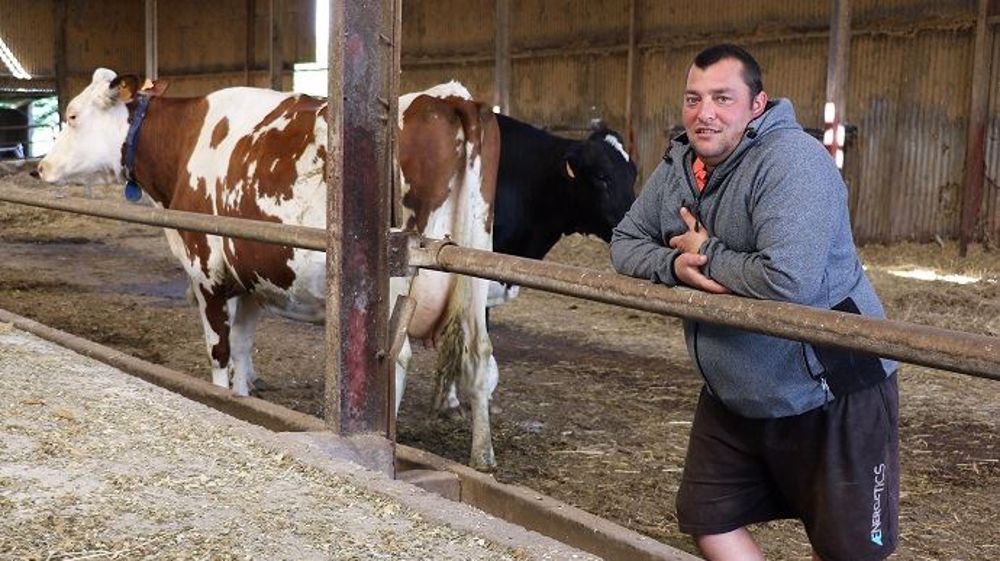 Sébastien Bonamy explique : « La morphologie et la longévité sont indissociables. On sélectionne principalement sur les pattes, la mamelle et la solidité. En gros, on veut des vaches « BB » : belles et bonnes ! Même sur des vaches à index, il faut de la morpho. » (©Terre-net Média) Sébastien Bonamy explique : « La morphologie et la longévité sont indissociables. On sélectionne principalement sur les pattes, la mamelle et la solidité. En gros, on veut des vaches « BB » : belles et bonnes ! Même sur des vaches à index, il faut de la morpho. » (©Terre-net Média)