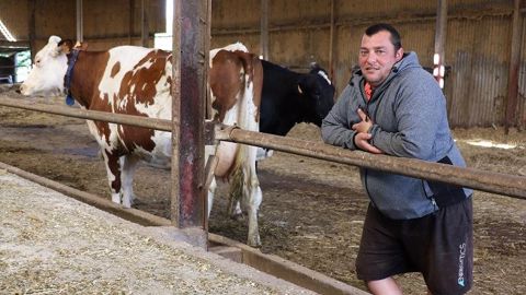 Sébastien Bonamy explique : « La morphologie et la longévité sont indissociables. On sélectionne principalement sur les pattes, la mamelle et la solidité. En gros, on veut des vaches « BB » : belles et bonnes ! Même sur des vaches à index, il faut de la morpho. » (©Terre-net Média) Sébastien Bonamy explique : « La morphologie et la longévité sont indissociables. On sélectionne principalement sur les pattes, la mamelle et la solidité. En gros, on veut des vaches « BB » : belles et bonnes ! Même sur des vaches à index, il faut de la morpho. » (©Terre-net Média)