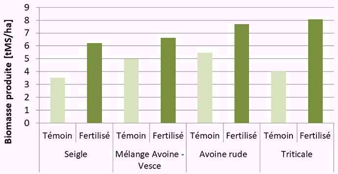 Biomasse produite par les Cive avec ou sans fertilisation