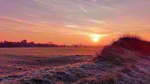 Le froid pourrait nuire à la croissance des cultures américaines. (©Pixabey) Le froid pourrait nuire à la croissance des cultures américaines. (©Pixabey)