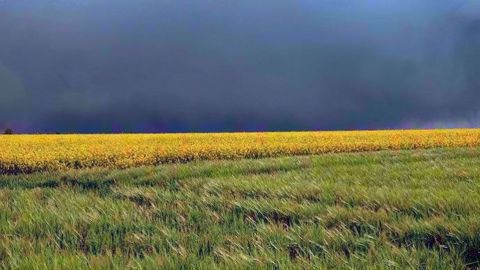 Les pluies sont de retour sur la Corn Belt. (©Pixabay) Les pluies sont de retour sur la Corn Belt. (©Pixabay)
