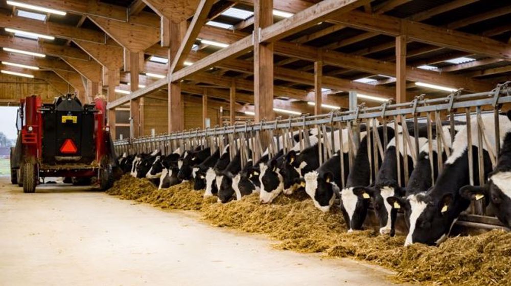 Les animaux préfèrent le calme mais peuvent s’habituer à des bruits artificiels forts s'ils l'entendent fréquemment, ceux des avions à proximité d’un aéroport ou celui du distributeur d’aliment, par exemple. (©Fotolia)