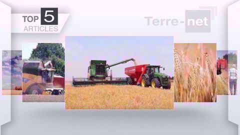 Top articles de Terre-net cette semaine (©Terre-net Média)