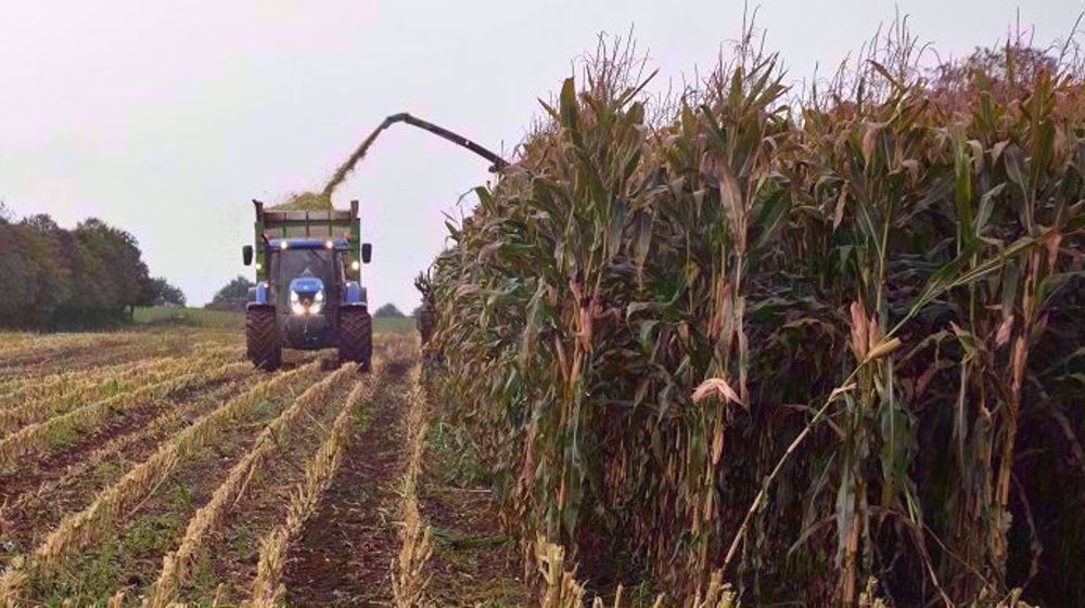 Quel temps fera-t-il pour les ensilages ? (©Terre-net Média)