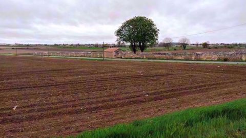 Retrouvez les prix des terres libres et prés occupés en 2017 dans la région Grand Est. (©Terre-net Média) Retrouvez les prix des terres libres et prés occupés en 2017 dans la région Grand Est. (©Terre-net Média)