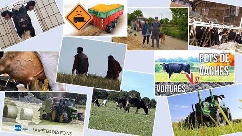 Le top 10 des articles élevage de Web-agri les plus lus sur 2019 au premier semestre. (©Terre-net Média) Le top 10 des articles élevage de Web-agri les plus lus sur 2019 au premier semestre. (©Terre-net Média)