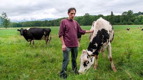 Ludovic Brunet passe beaucoup de temps à observer ses vaches. Cela l'aide à choisir le traitement adapté à chaque animal. (©Nicolas Mahey) Ludovic Brunet passe beaucoup de temps à observer ses vaches. Cela l'aide à choisir le traitement adapté à chaque animal. (©Nicolas Mahey)