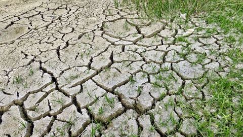 En 2009, l'Agence européenne pour l'environnement relevait déjà que « depuis 1980, les épisodes de sécheresse en Europe avaient augmenté en nombre et en intensité ».(©Pixabay)