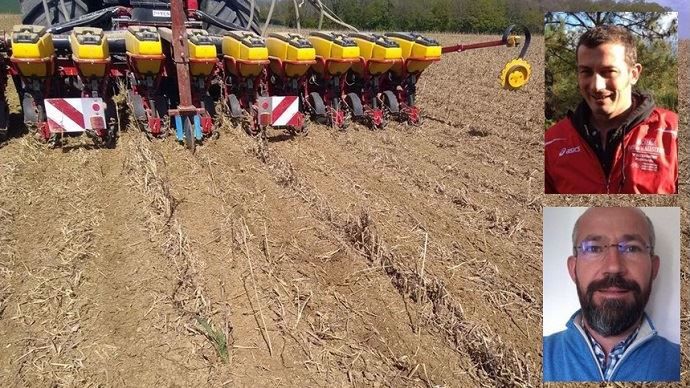 Strip-till