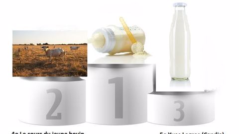 (©Thierry Ryo, Mara Zemgaliete, Markus Mainka, Fotolia // Création Terre-net Média) (©Thierry Ryo, Mara Zemgaliete, Markus Mainka, Fotolia // Création Terre-net Média)